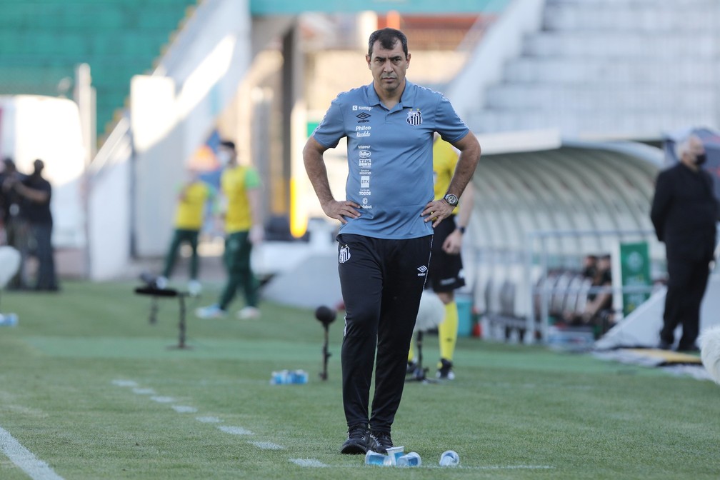 Fábio Carille durante jogo entre Juventude x Santos — Foto: Ivan Storti/Santos FC