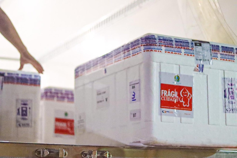 Lote com mais de 60 mil doses para complementação da vacinação chega ao Piauí  — Foto: Divulgação/Sesapi