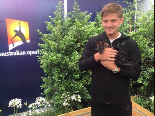David Goffin com animal na Austrália (Foto: Getty Images)