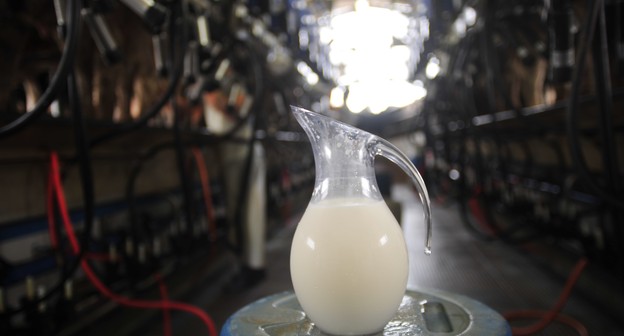 Preço do leite ao produtor acumula alta de 14,5% neste ano