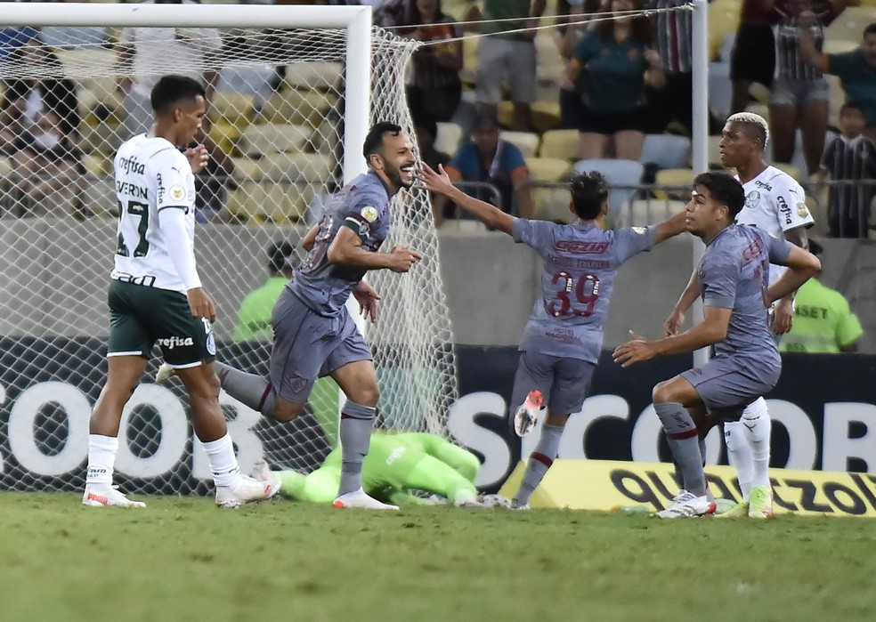 Yago comemora gol da vit�ria do Fluminense sobre o Palmeiras � Foto: Andr� Dur�o