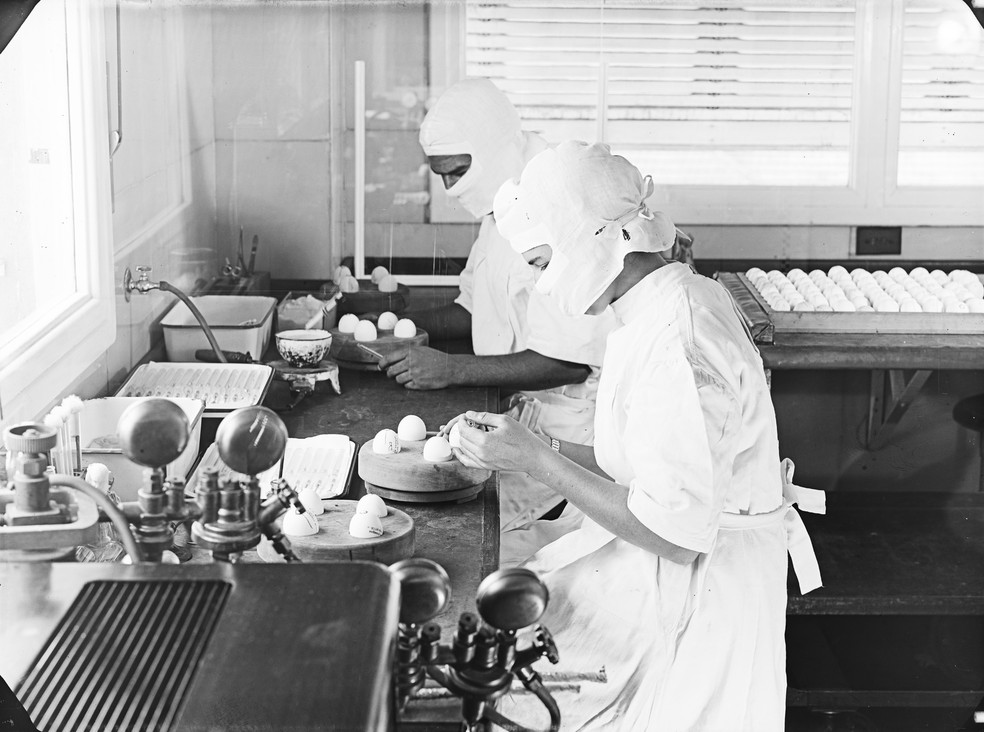 Imagens da produção da vacina contra febre amarela na primeira metade do século XX    — Foto: Acervo Casa de Oswaldo Cruz/Fiocruz