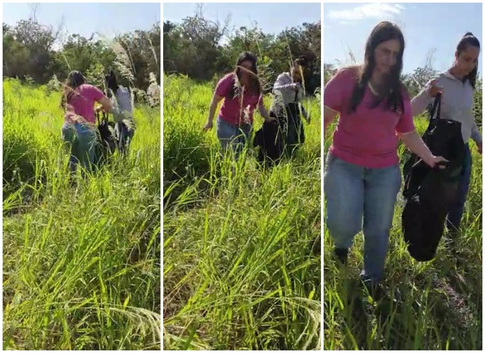 Veterin?rios recolhendo o cachorro achado dentro da bolsa em Monte Apraz?vel ? Foto: Arquivo Pessoal