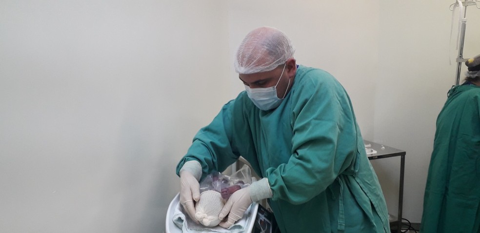 É o segundo parto de trigêmeos realizado na unidade de saúde. — Foto: HRSC/ Divulgação