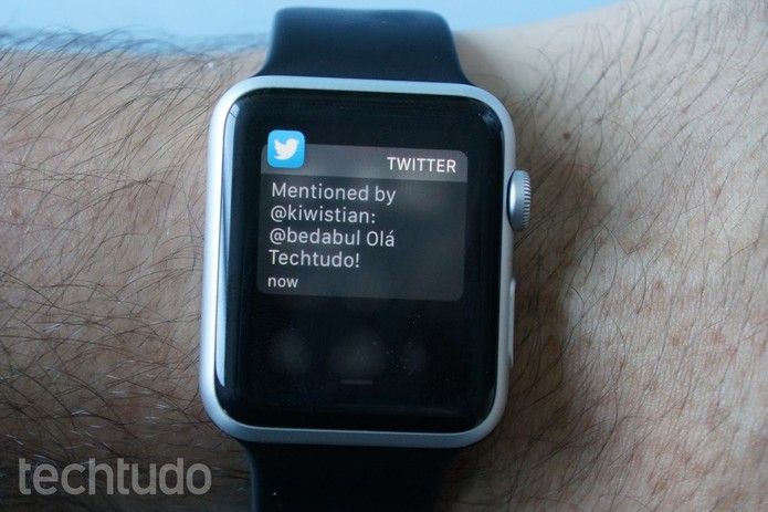 Além do Twitter e do Instagram, ainda há poucos apps de terceiros para o Apple Watch (Foto: Bernardo Dabul/TechTudo)