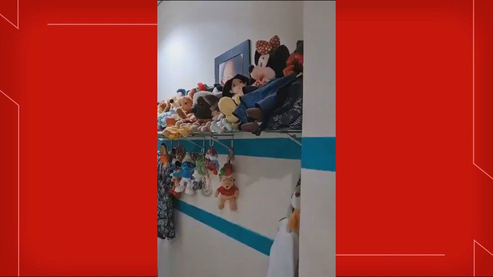 Polícia prende homem suspeito de usar bonecos para atrair crianças e fazer vídeos de conteúdo sexual, no DF