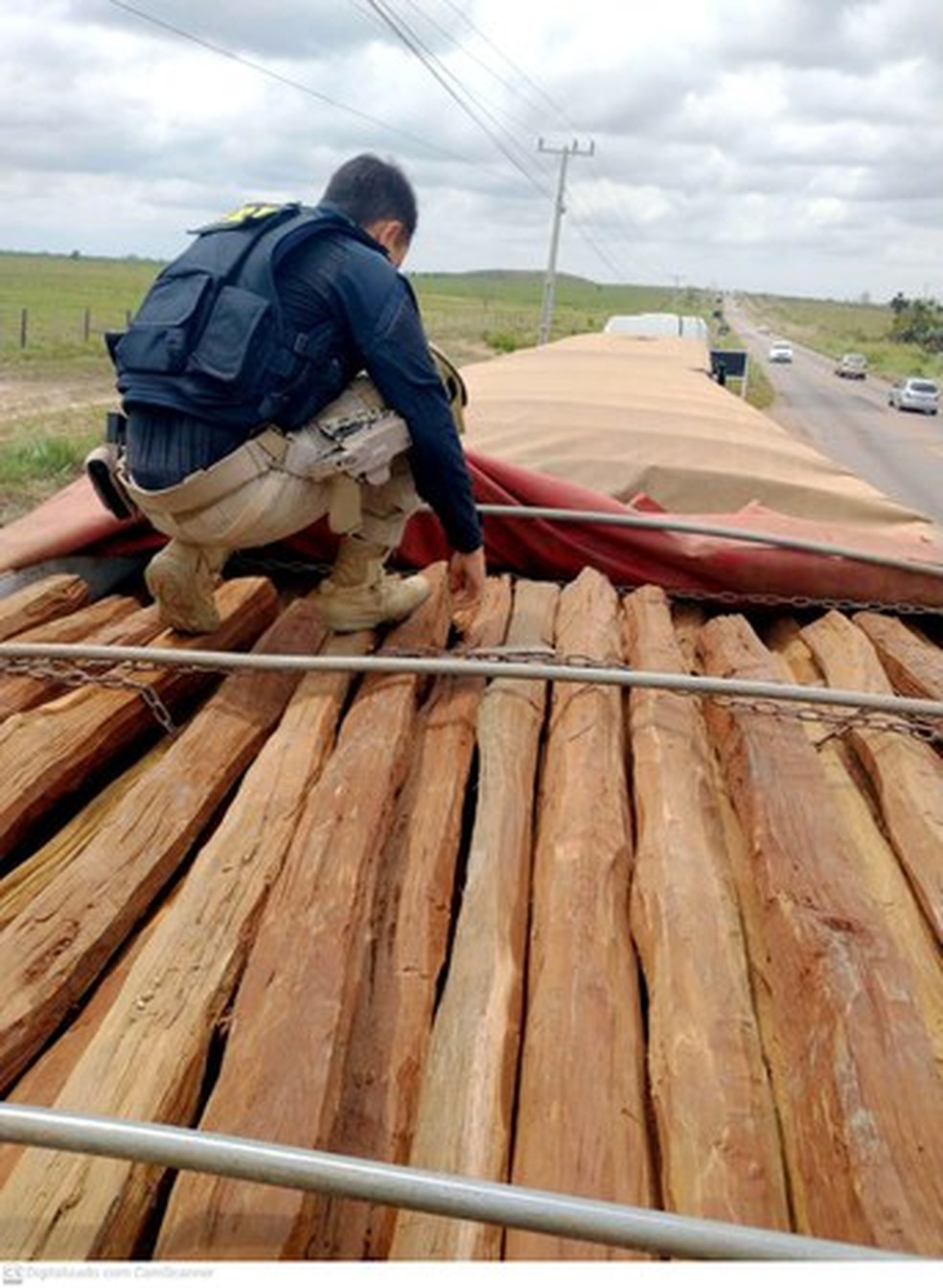 Carga com madeira transportada sem nota foi apreendida em Marabá  — Foto: PRF/Reprodução 