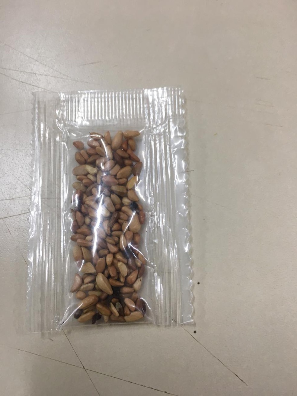 Morador de Campo Grande (MS) recebe pacote com sementes não identificadas vindas da China. — Foto: Superintendência Federal de Agricultura em Mato Grosso do Sul/Divulgação