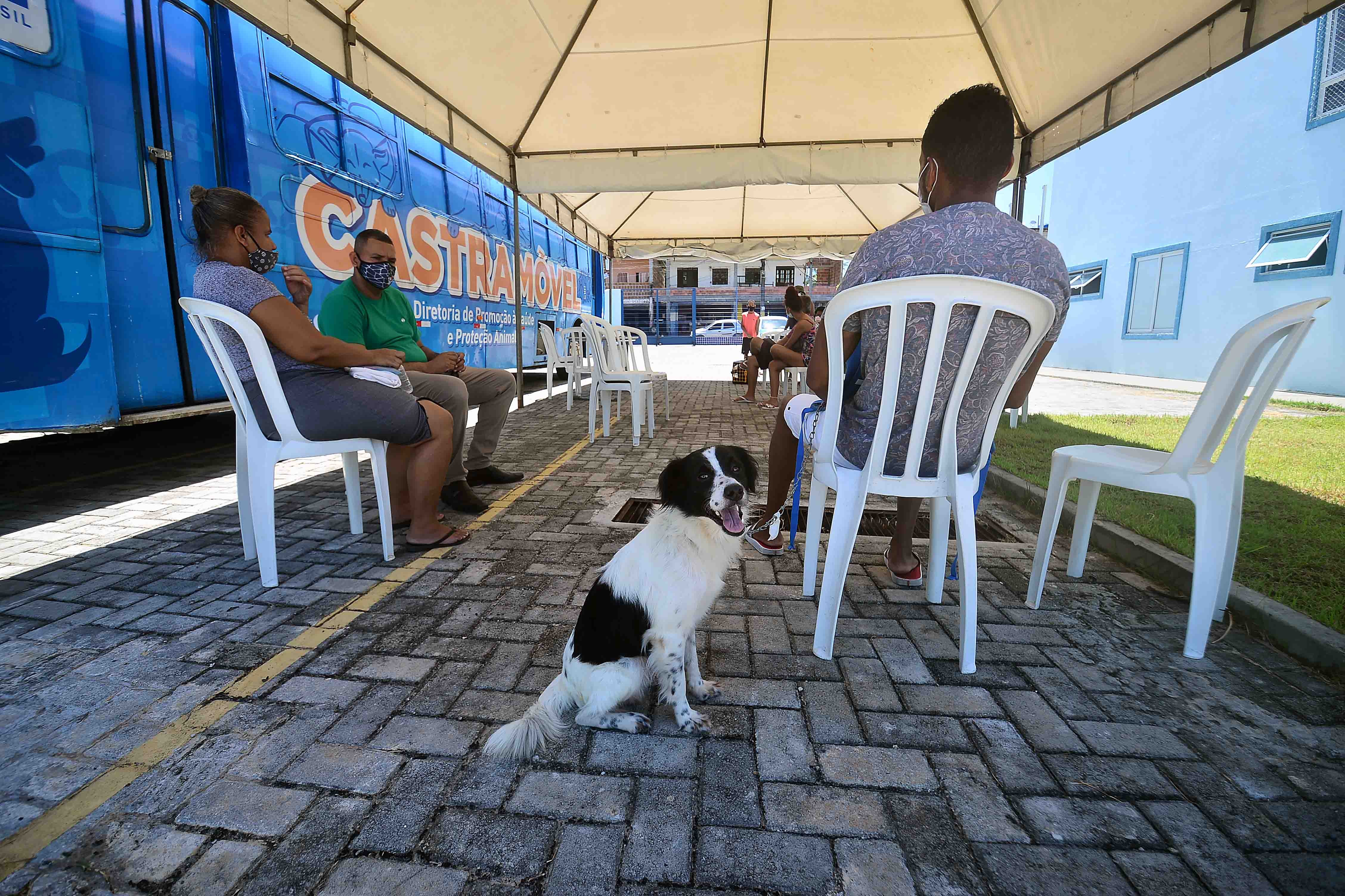 Castramóvel realiza atendimento em Cajazeiras X até 13 de março; saiba como agendar