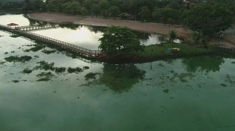 Coloração verde no Ri Tietê é causada pela proliferação das algas que, por sua vez, se multiplicam devido a poluição â€” Foto: TV TEM / Reprodução 