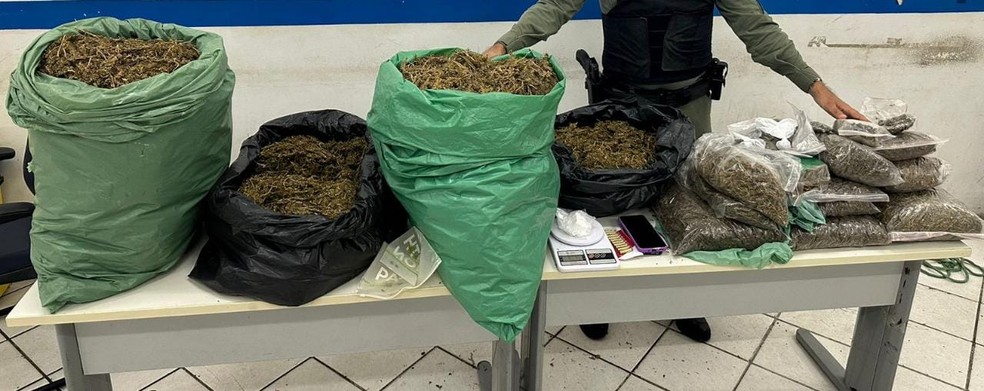 45kg de droga são apreendidos em Toritama, no Agreste.  — Foto: Agreste Notícia 