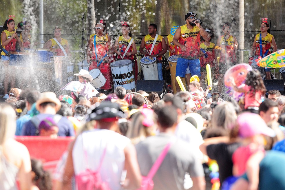 Crianças e adultos se divertem no bloco da Baratinha, em Brasília — Foto: PedroVentura/AgênciaBrasília
