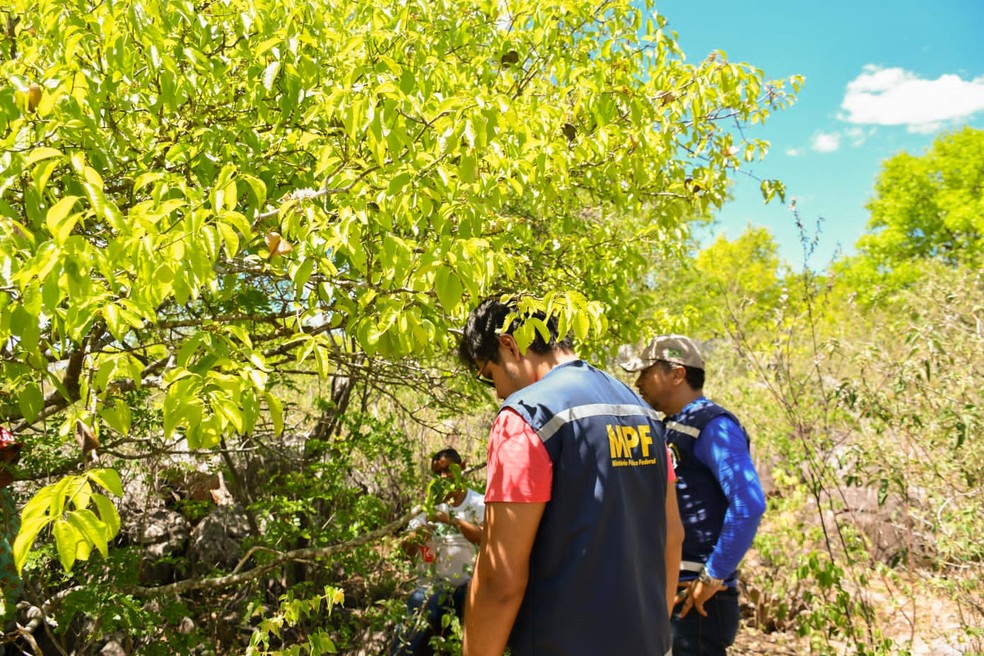 Equipes do MPF e FPI fizeram ações de aproximação e educação ambiental com indígenas de Pariconha — Foto: Rute Barbosa/Iphan