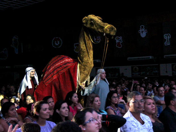 Bonecos, efeitos especiais e animais participaram do show (Foto: Jamile Alves/G1 AM)