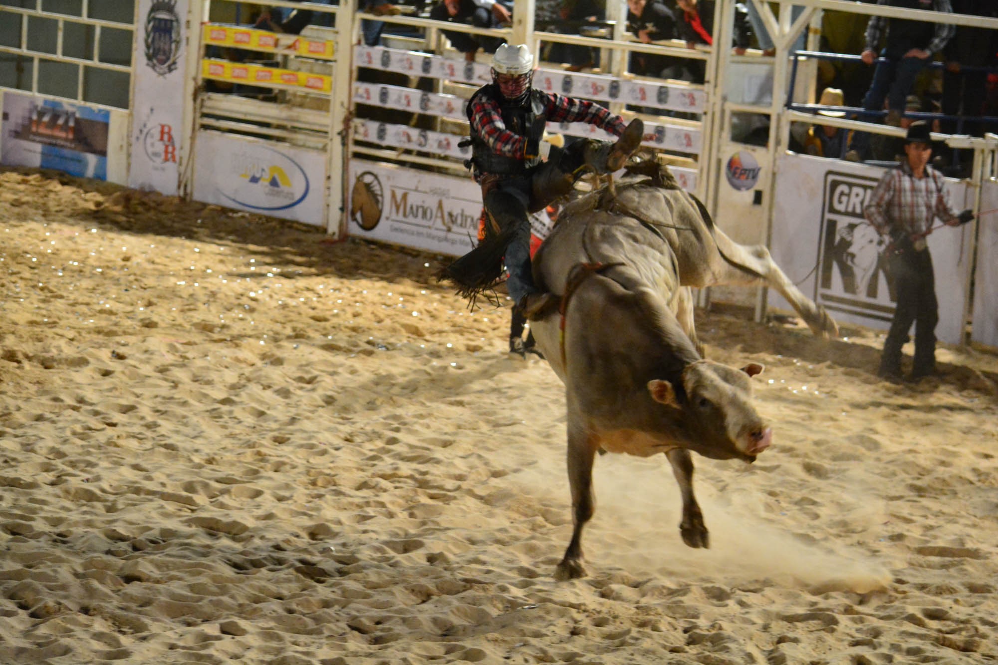 32º Rodeio de Ibaté terá shows de Zé Felipe, Maiara e Maraisa e Ana Castela; veja programação