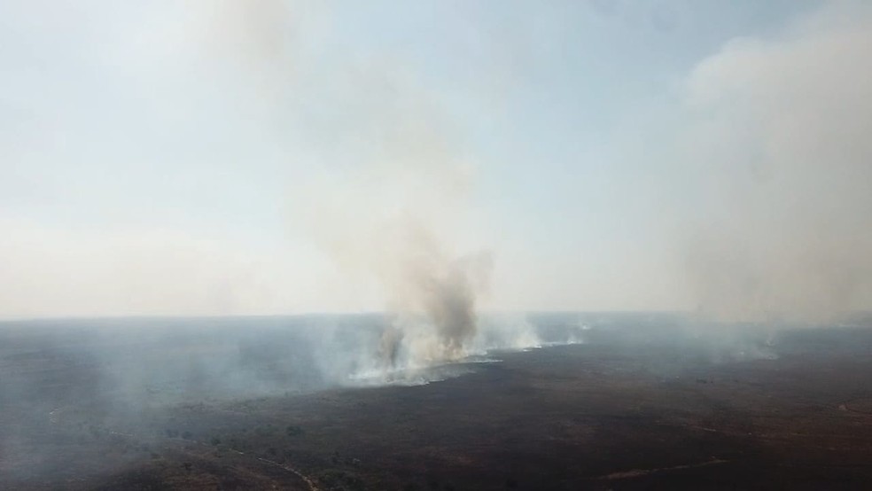 Fogo na região da Nhecolândia, no Pantanal de MS — Foto: PMA/Divulgação
