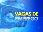 PATs oferecem 60 oportunidades de empregos na região de Itapetininga