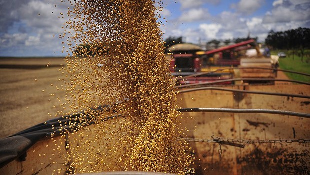 Colheita de soja ; agronegócio ; safra ; plantio de grãos ; trabalho no campo ;  (Foto: Ernesto de Souza/Editora Globo)