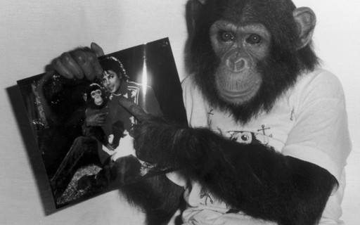 Bubbles: onde está e como vive o chimpanzé amigo de Michael Jackson