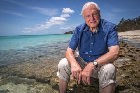 O naturólogo David Attenborough (Foto: divulgação)