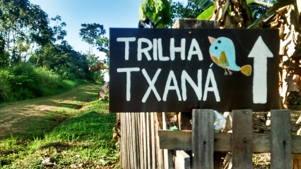 Trilha Rio Novo possui percurso 10 km e a Txaná de 1 km, segundo o agente ambiental (Foto: Juliano Augusto e Nãke Laura/Arquivo Pessoal)