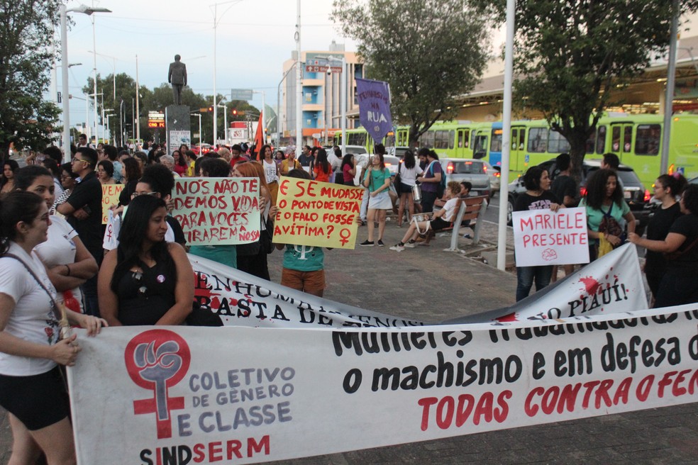 Manifestação cobra medidas de enfrentamento à violência contra a mulher. (Foto: José Marcelo/G1)