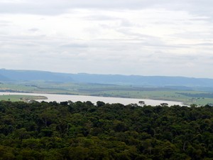 Local onde construção da barragem está prevista fica próximo a mata - Piracicaba (Foto: Thomaz Fernandes/G1)