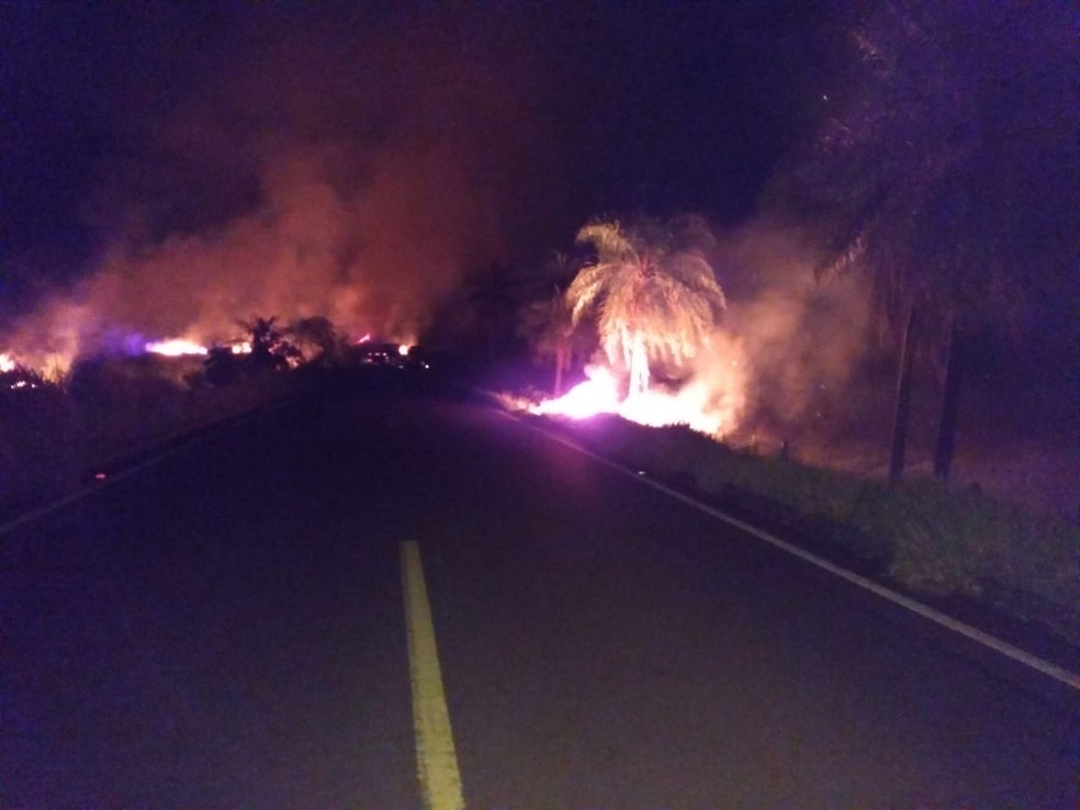 Chamas na vegetaÃ§Ã£o Ã s margens da MS-295 â Foto: PolÃ­cia Civil/DivulgaÃ§Ã£o
