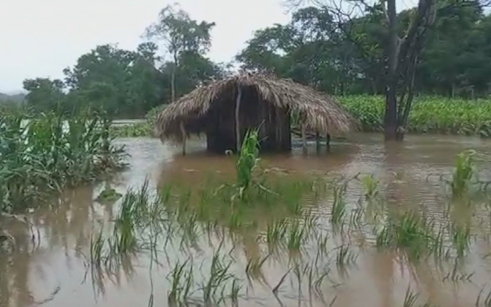 Chuva inunda casa em comunidade quilombola em Cavalcante, em Goiás — Foto: Reprodução/TV Anhanguera