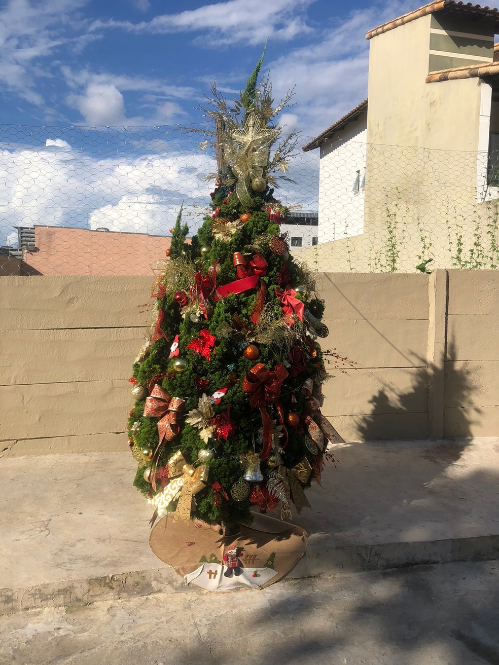VÍDEO: árvore de Natal no meio da calçada chama atenção de moradores em MG  | Centro-Oeste | G1