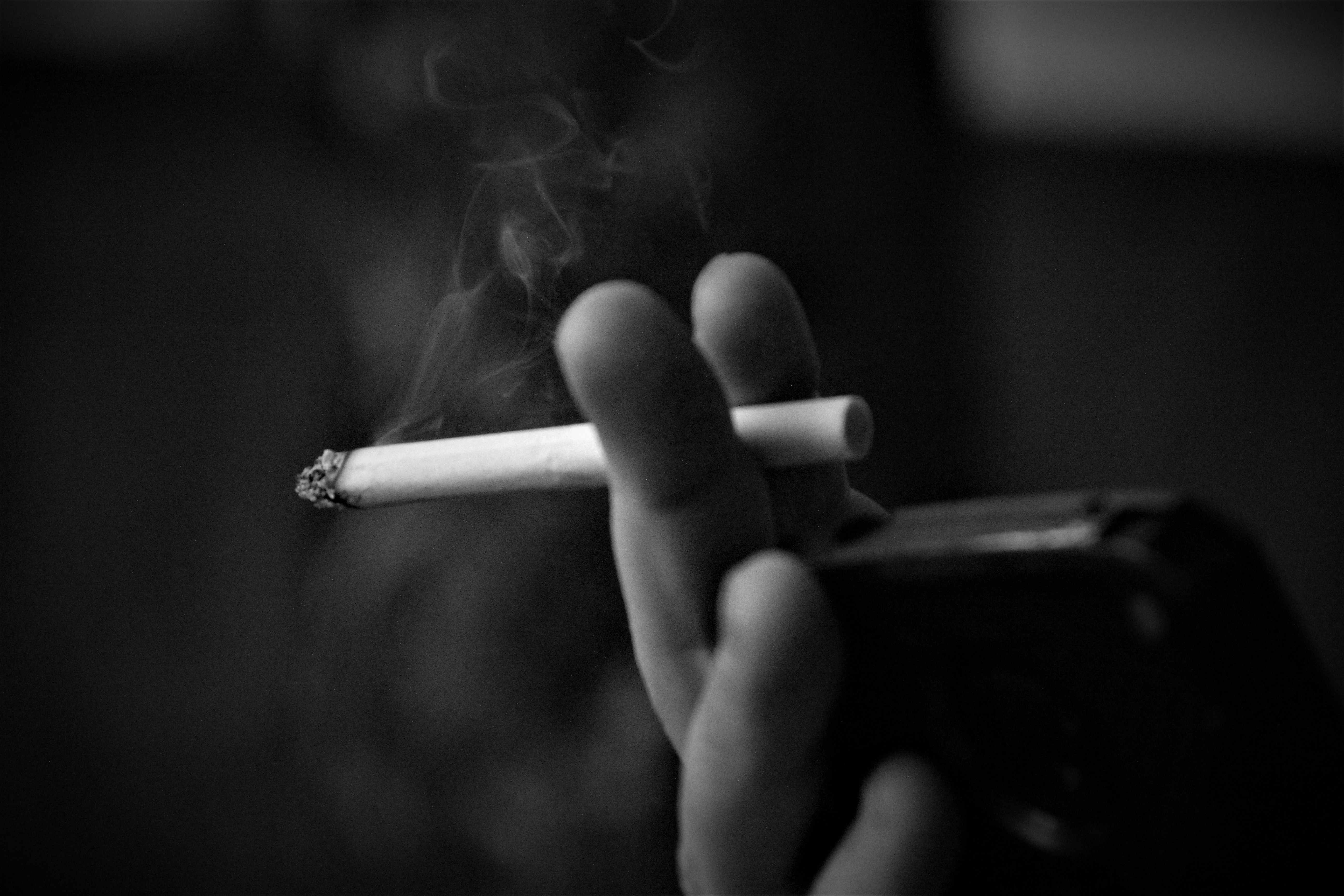 Cigarro (Foto: Eric Wachs/Pexels)