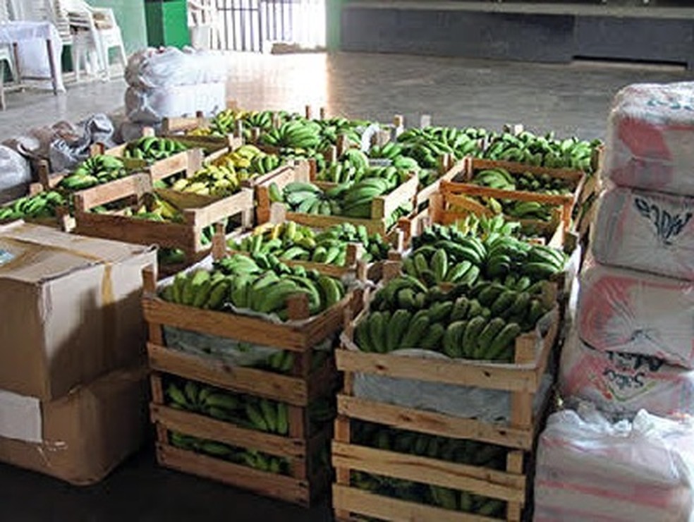 Alimentos serão distribuídos para famílias e pessoas em situação de vulnerabilidade em MG — Foto: UFV/Divulgação