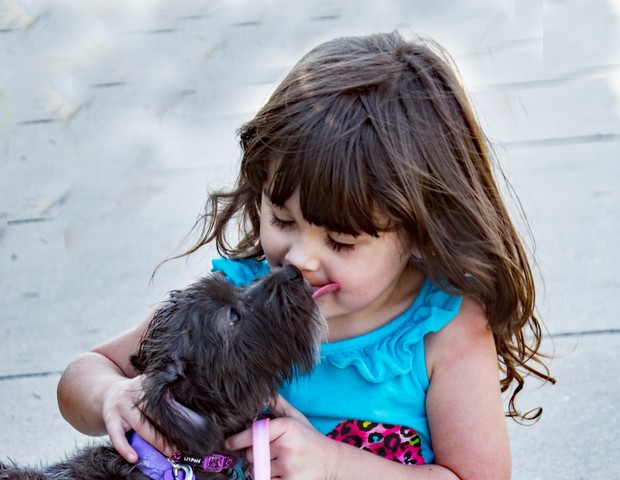 Criança e cachorro: pelos de animais causam alergia? (Foto: Pexels/ bin Ziegler)