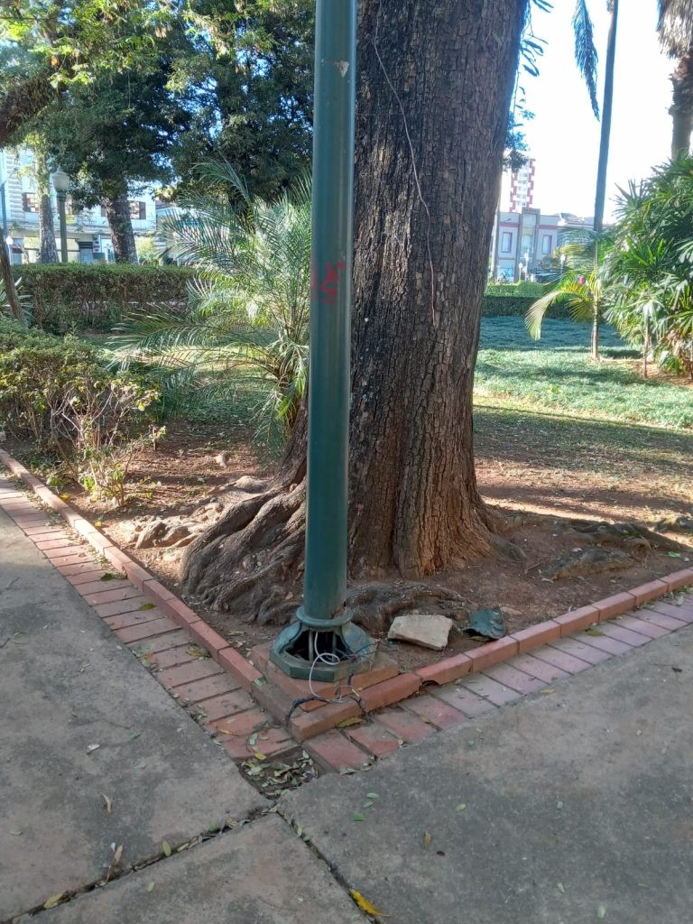 Ladrões furtam fiação de postes de iluminação do Parque José Affonso Junqueira, em Poços de Caldas, MG