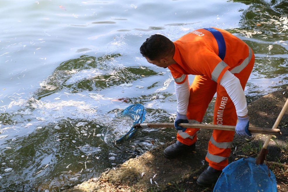 Ao todo, 662 profissionais, sendo  601 garis e 61agentes de limpeza urbana, trabalharam no local. — Foto: Divulgação
