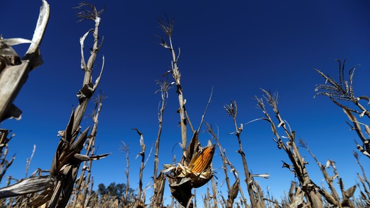 Argentina: seca reduz em 23% a safra e perda de receita supera US$ 10 bilhões