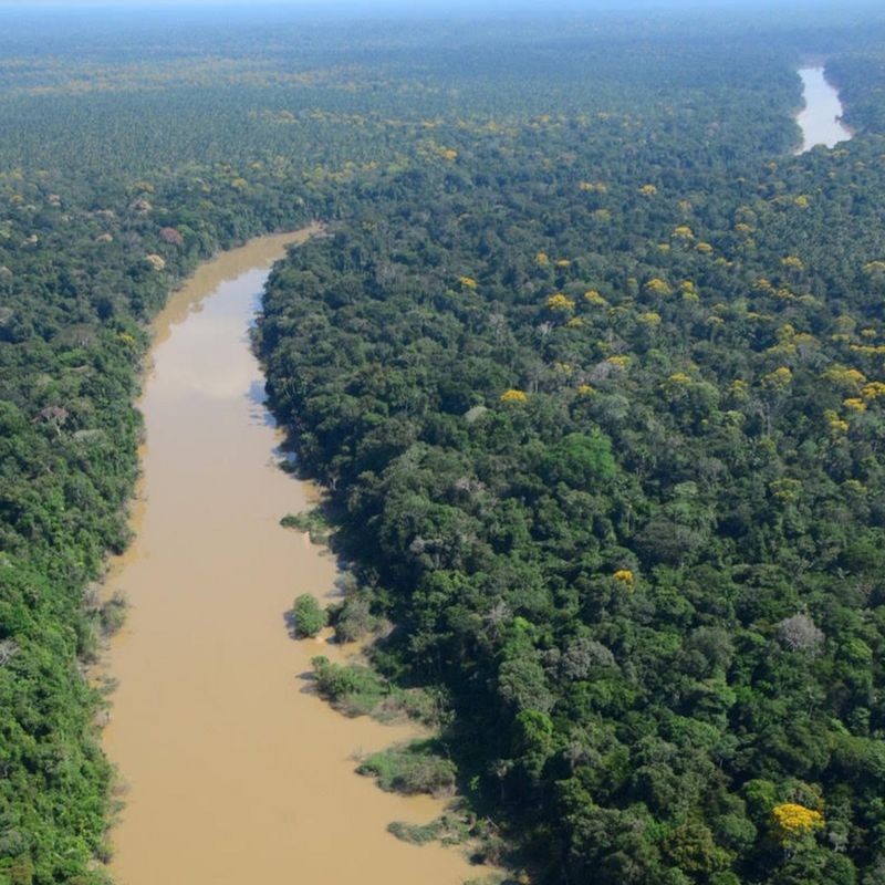 Amazônia: indígenas viveram na floresta por 5 mil anos sem destruir bioma, mostra estudo thumbnail