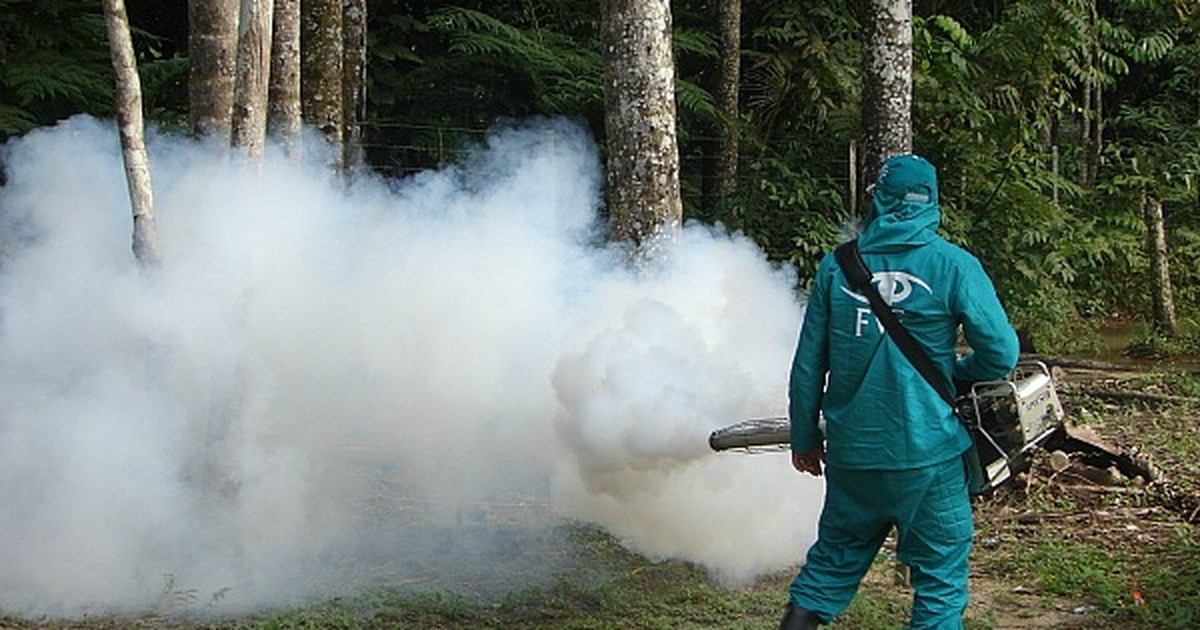 G1 - Casos de dengue sobem 158% no AM e Manaus pode ter epidemia, diz MS -  notícias em Amazonas