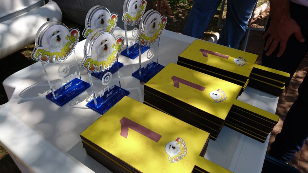 Vencedores de cada categoria levaram prêmios e brindes (Foto: Tiago de Moraes/G1)