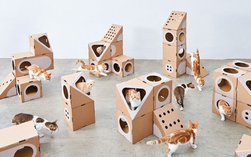 Sistema modular permite montar uma verdadeira cidade para o seu gato