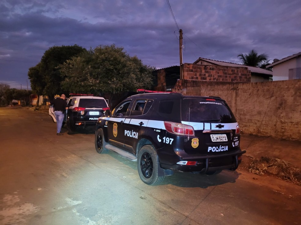 Operação foi realizada nesta segunda-feira (2), em Ouro Verde (SP) — Foto: Polícia Civil