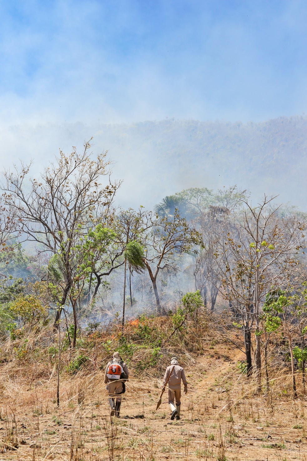Equipes tentam impedir que fogo chegue em áreas de preservação — Foto: Luiz Henrique Machado/Corpo de Bombeiros