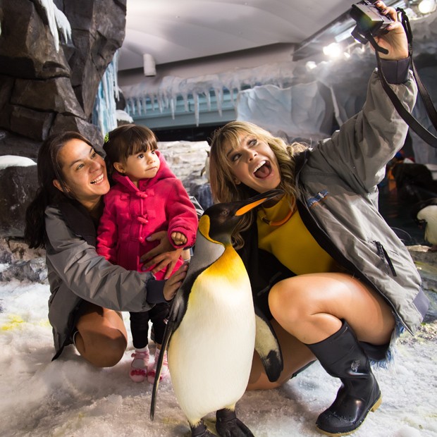 Fernanda faz selfie ao lado da irmã, Érika, e da sobrinha, Isabeli, com pinguim (Foto: Júlia Seixas)