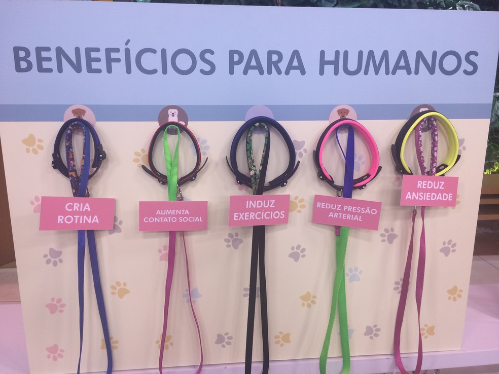 Os benefícios dos animais para os humanos ? Foto: Mariana Garcia/G1