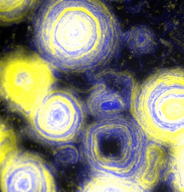 Essa placa de petri laboratorial com bactérias parece ter se tornando o quadro A Noite Estrelada, de Van Gogh  (Foto: Divulgação / Rice University )