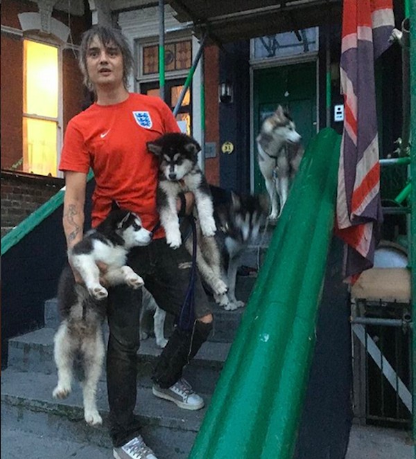 O músico Pete Doherty com seus cães (Foto: Instagram)