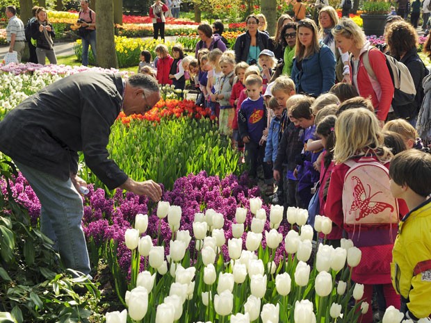 Crianças no Keukenhof, o parque das tulipas da Holanda (Foto: Divulgação/Keukenhof)