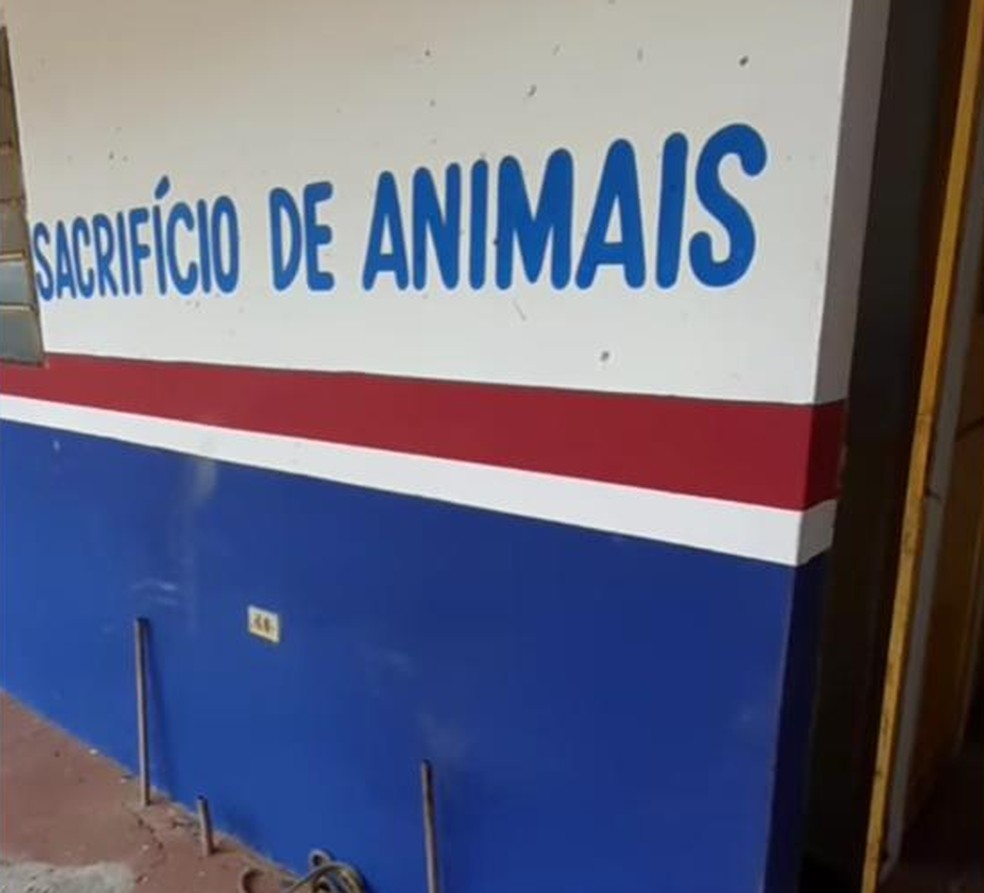 Local para sacrifício de animais em Barras — Foto: Reprodução/Barras é Notícia 