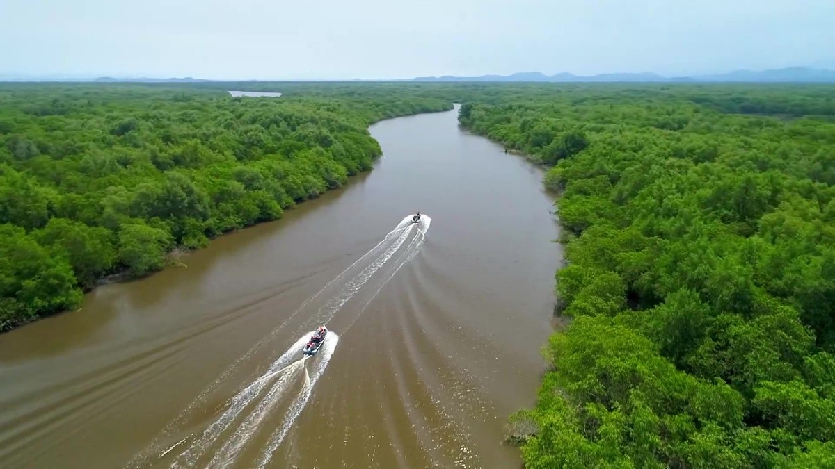 Cerca de 100 mil pessoas visitam o Pantanal mato-grossense por ano para pescar | Mato Grosso
