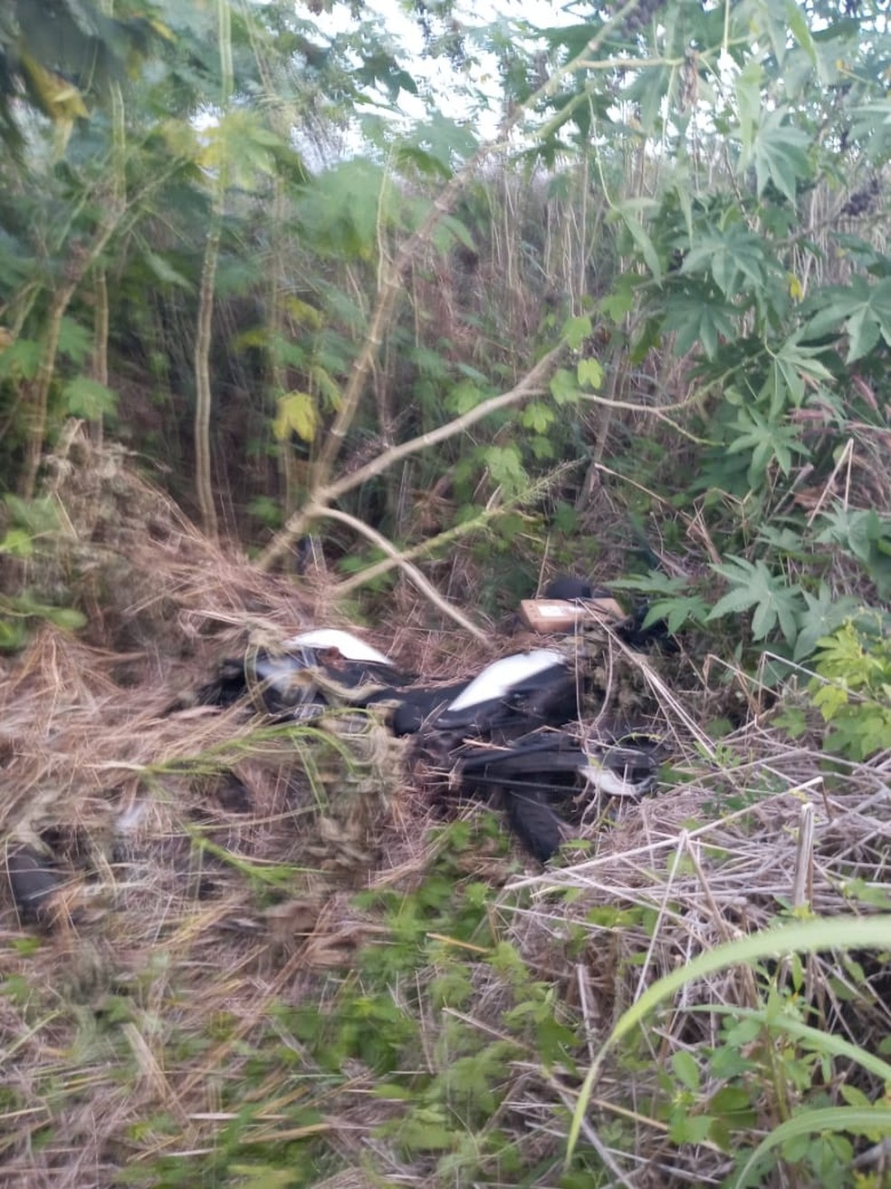Corpo de pastor desaparecido há quatro dias é encontrado às margens da BR-222 no Maranhão — Foto: Divulgação/PRF